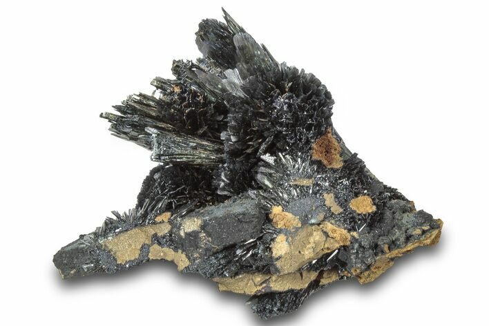 Radiating Dark-Green Vivianite Crystals - Ukraine #315598